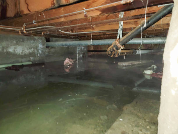 Best Residential water damage restoration  in Lake Camelot, WI