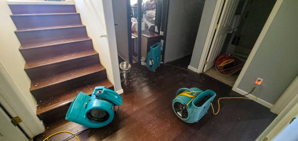 Best Water damage restoration insurance claims  in Lake Camelot, WI