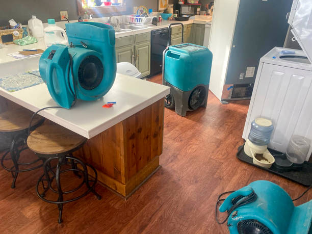 Best Carpet water damage restoration  in Lake Camelot, WI