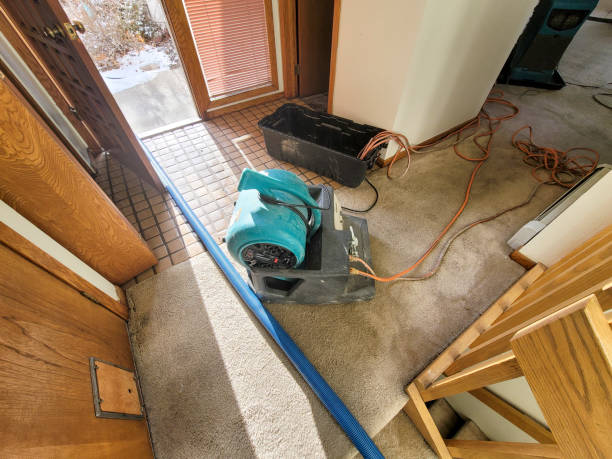 Best Commercial water damage restoration  in Lake Camelot, WI
