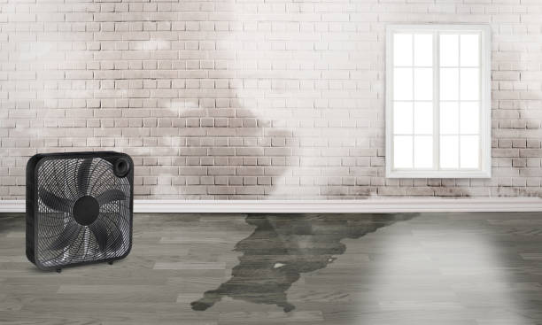 Best Water damage contractors near me  in Lake Camelot, WI