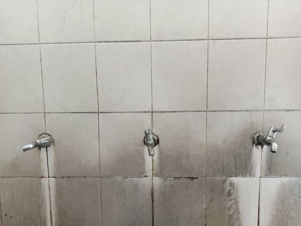 Best Emergency water damage restoration  in Lake Camelot, WI