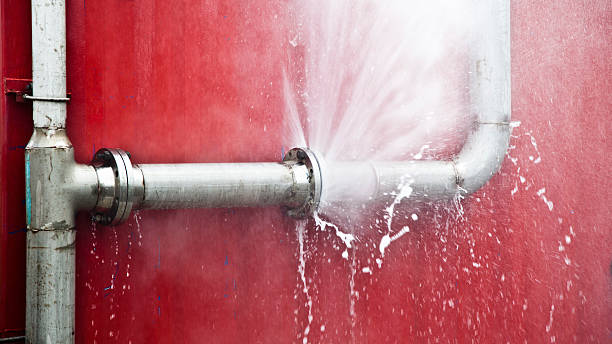 Best Local water damage restoration  in Lake Camelot, WI